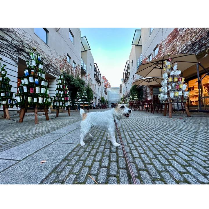 2793c811 f885 469c addb 8e237654836e 1732980636218