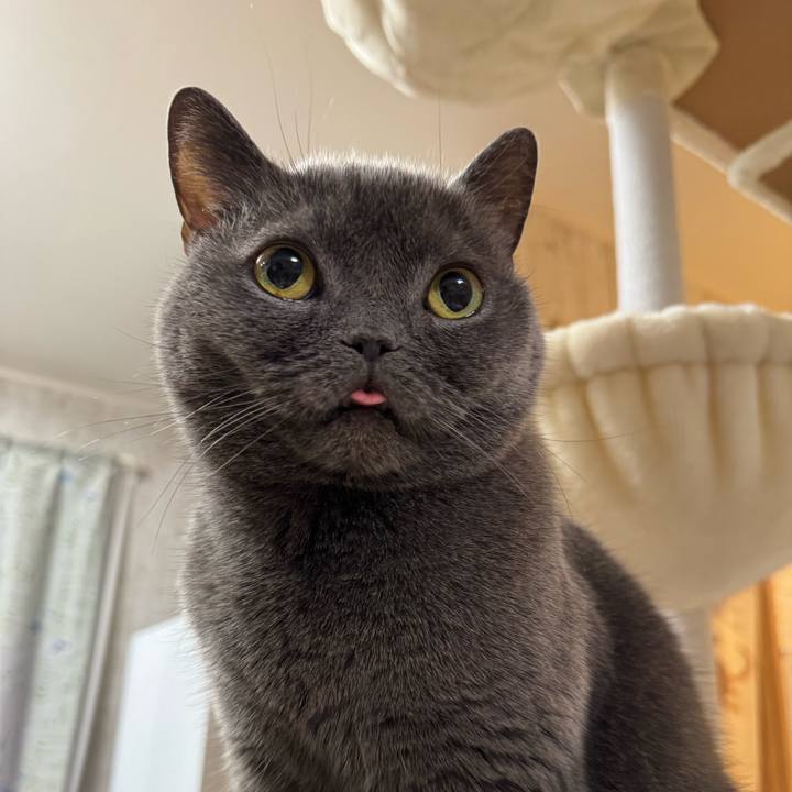 2793f863 8182 4b82 b5d6 4e603a1598bd 1765968923163