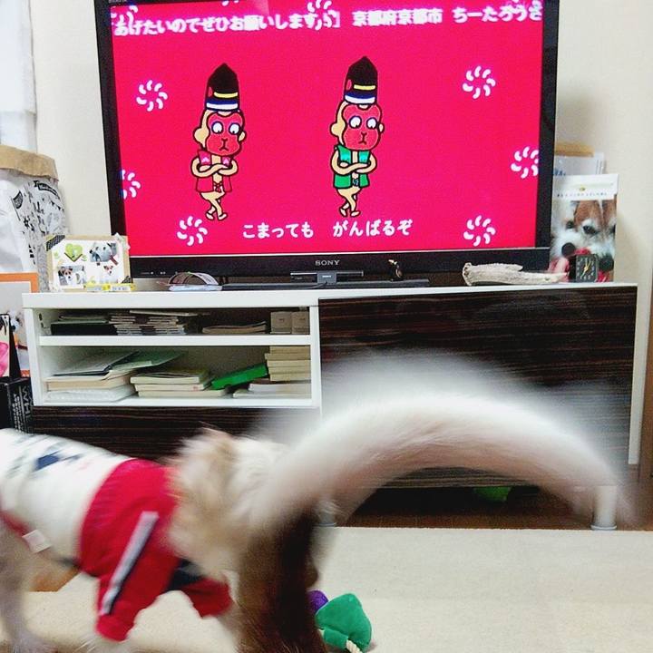 27941bcd 8b4d 4268 b8d0 31dc8525ffc3 1580163051542