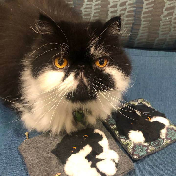 27944a5c 4370 44d6 9470 c66858a5a099 1695652817288