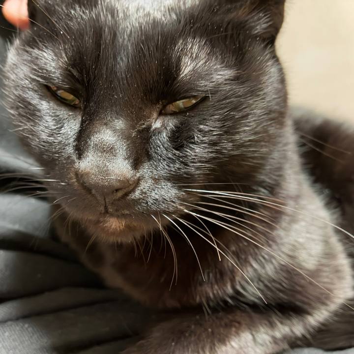 27949521 5160 496d b836 9bf729e2e3a9 1767691113676