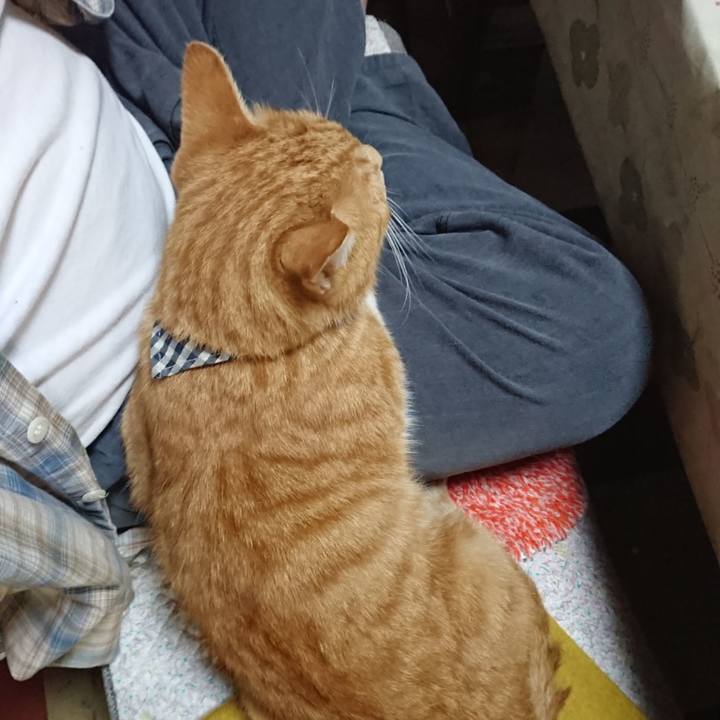 2794a79d fe73 407e 9594 84ad9fb2b412 1570014514359