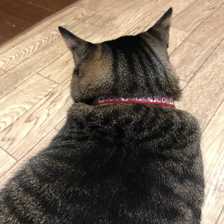 2794b85e e88a 46c4 948f 8428c0af2ba1 1553965030924