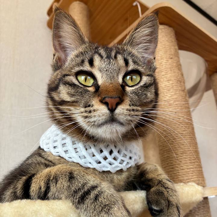 2794bc27 a014 4900 ac9d a9333cdd91ee 1752273194957