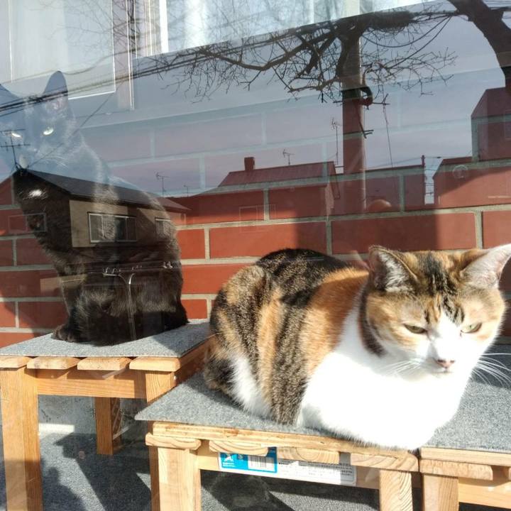 2794dce5 e3ef 412e bedb 1f8ad6823c2f 1585972983495