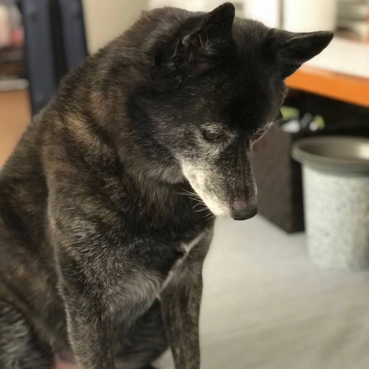 279530a7 5e72 4e9b becc 6f49952b04bd 1536848569249