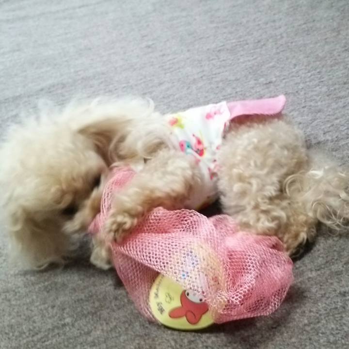 2795907d 16f8 4410 933d 94d4be0db398 1532753898452