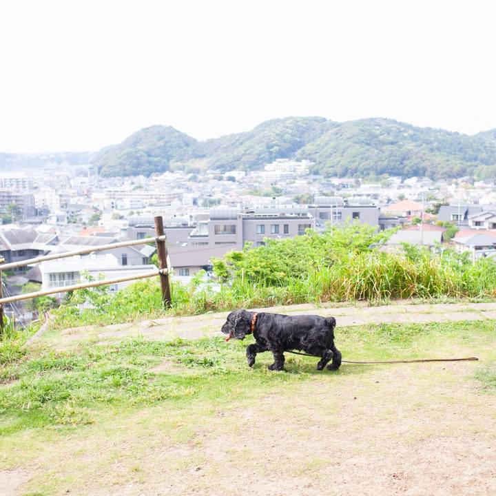 2795ebb7 271c 4d21 90ed 873503f353b9 1558883819103