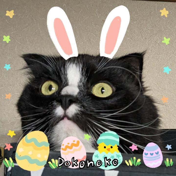 27961563 6119 46f4 b1f2 bb1a62a2aef7 1712200063544