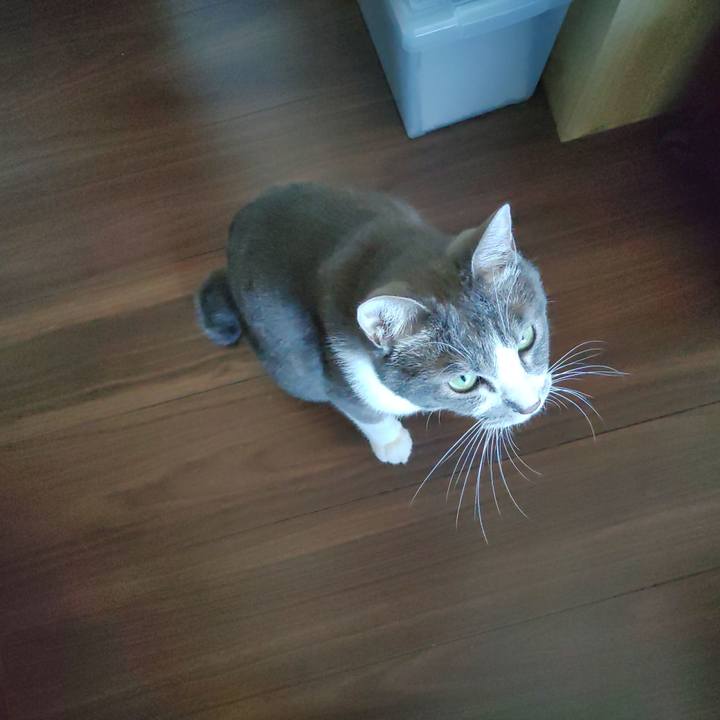 27962818 0188 493d 889a e13bf1b2e75a 1690945850354