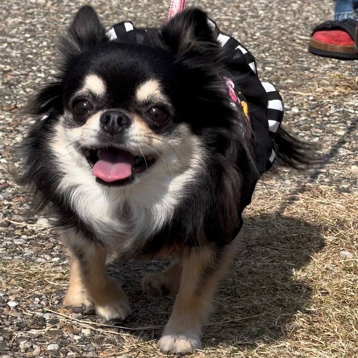 27963533 e5ed 4917 aef0 d8101901b3c6 1666491559708