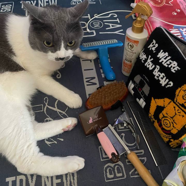 279643fe ce3a 4cc9 8b33 ec3bbf7f1885 1721523001567