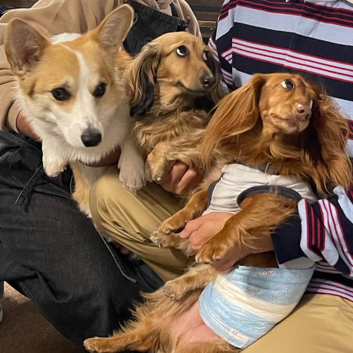 279662e6 f07c 43f7 b53b 803aa11c5d12 1730966117269