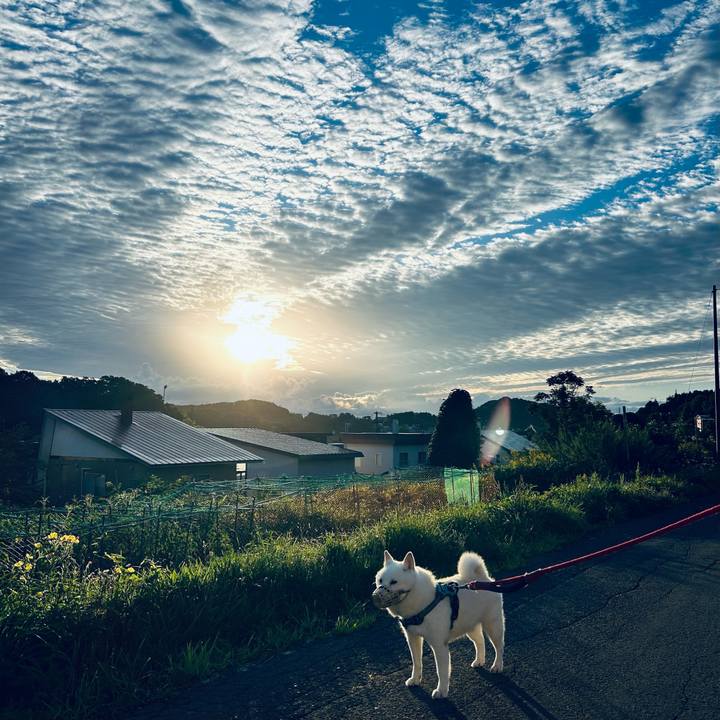 27966ba2 0995 47a3 978b 3bec19eed339 1755982007196