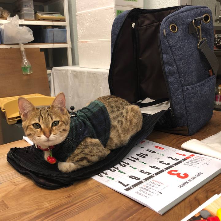 2796765f f5b2 4371 be1e 9d643ee23189 1582989644496