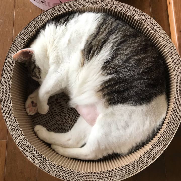 27968b7d 0463 42ca 8f53 786baa938d96 1595478720221