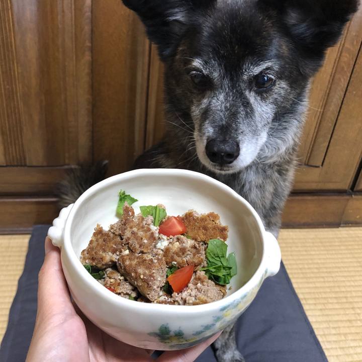 27968fa6 875e 49dd 96f1 81d1459d3555 1683030419099