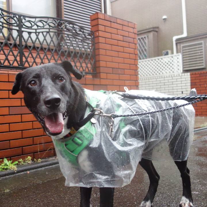 2797077d d347 4bca b3cd 349c6e9b54a6 1602287881881