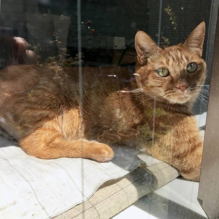 27970a86 d905 424c b52e a9a1d5f797e7 1554343702514