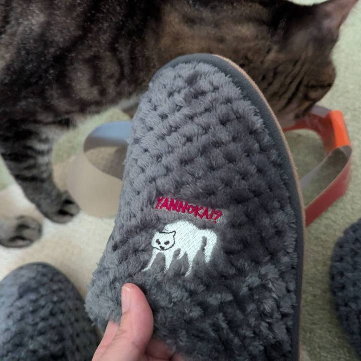 279721e8 44f4 46e3 8a6a d74b5eb530c1 1733126347440