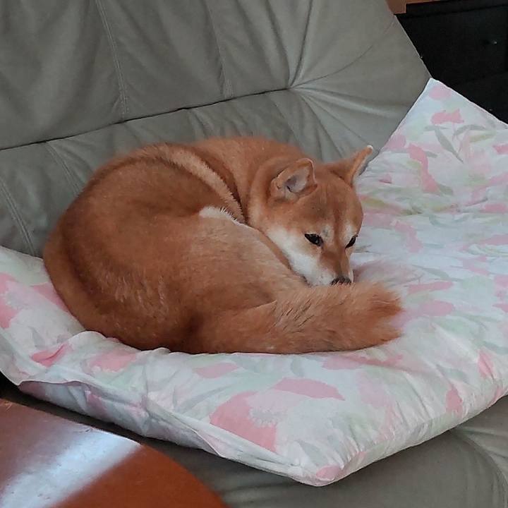 27972510 5768 4b39 a410 e0bb89c371ba 1697698957840