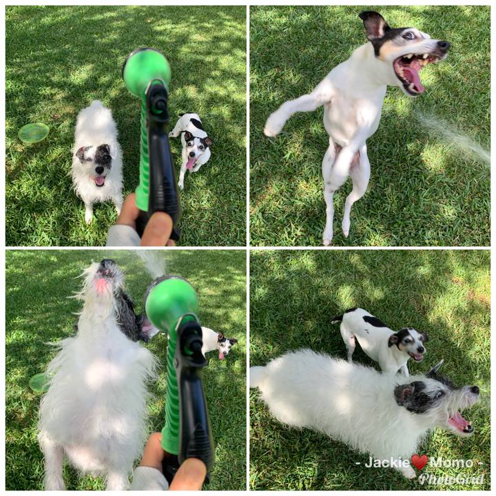 279745d7 6d28 4163 9fc3 52860706dd01 1588459033524