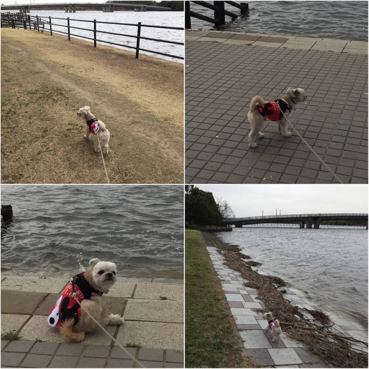 279747a4 e904 42ad 8027 2ad322fbab4e 1553237545280