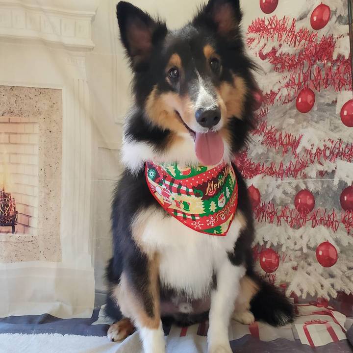 27977491 b549 4688 9d43 1c179a35481c 1576365128730