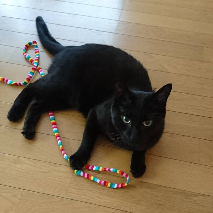 2797a72f e1fb 46a2 ab05 587ffcf733c0 1525872637232