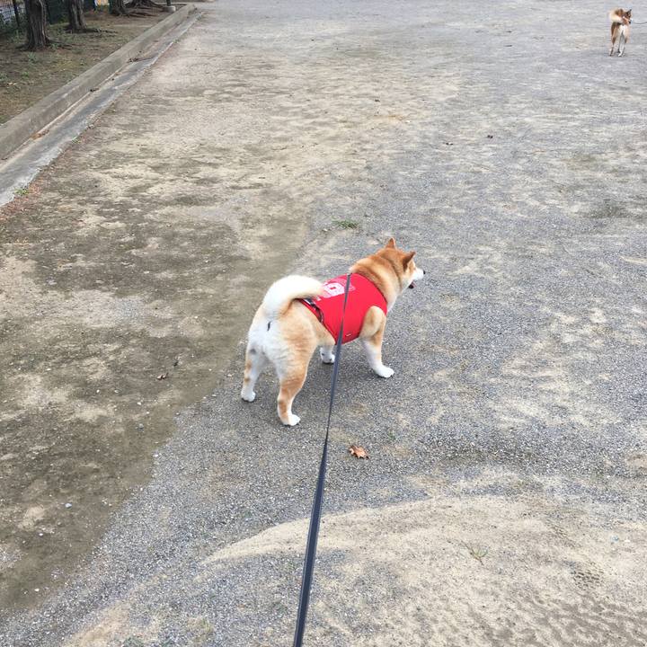 2797b008 c35d 4fc4 8c18 c3da8a455858 1568765602334