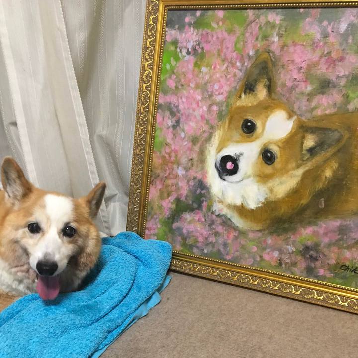 2797de5e 768e 4d01 a870 f859db4e5ff6 1665835813355