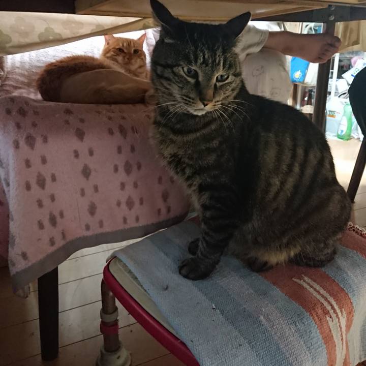 2797e434 90aa 4606 bc9e 95b2ad21270a 1654605680743