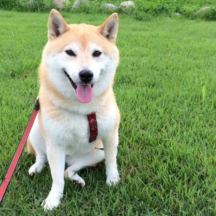 27981a8c 6f6e 4644 91d7 ba63c5f2198d 1764166479905