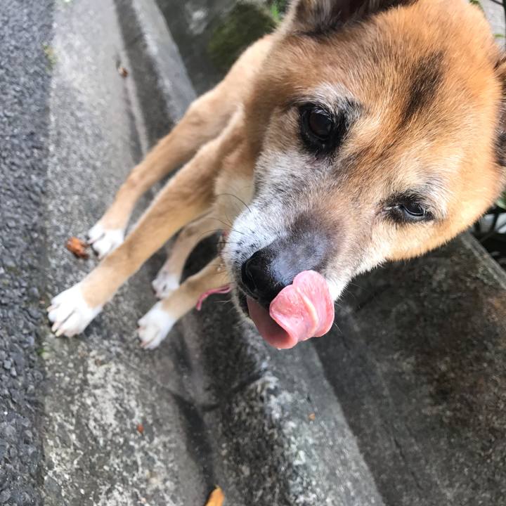 27982068 7c6a 4dda a6f0 188ba3af6f47 1556840524997