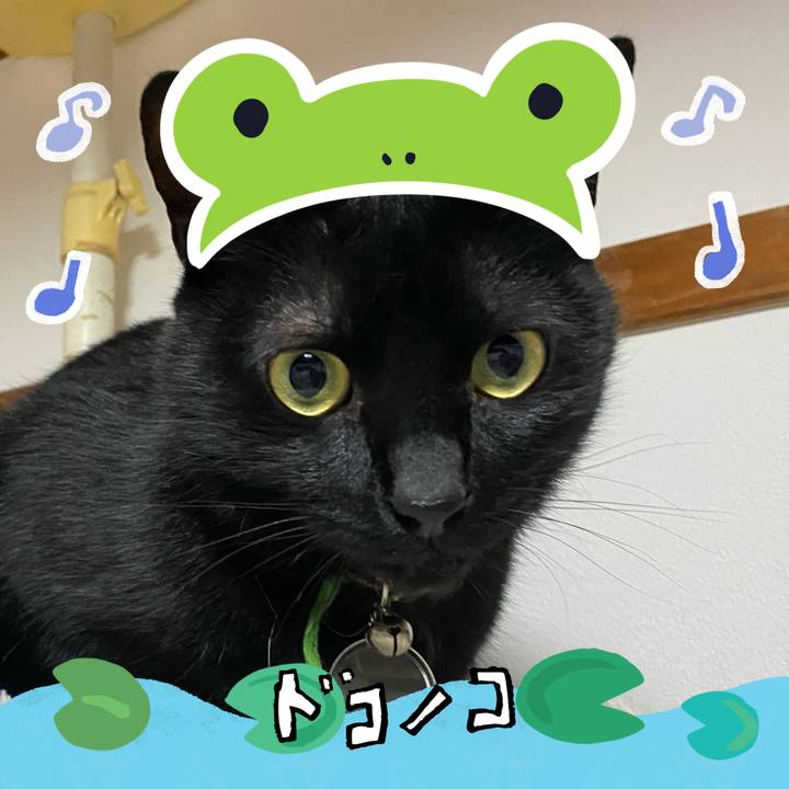 27984af5 5778 48c5 86e8 0f4ff47932aa 1717589569757