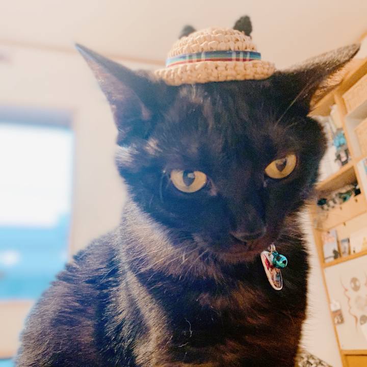 27989c17 42ac 4a8e ab39 d4cc23e7b324 1565273424811