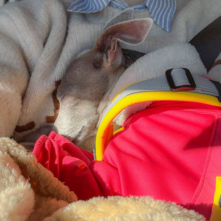 2798da72 1c97 45c0 9916 6ddc5fe3332f 1768467697975