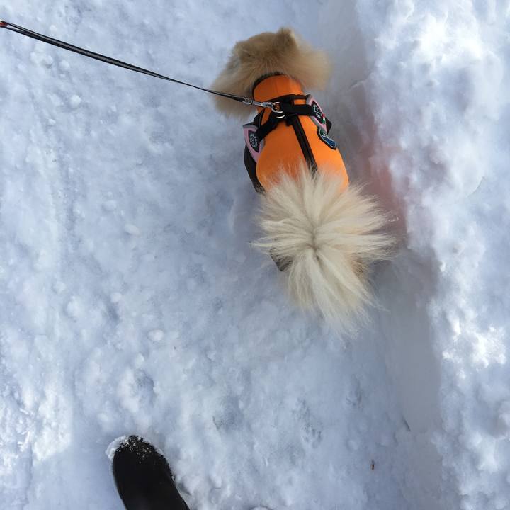 27992a90 a2ad 4339 917a 31b46e963bd7 1514723062074