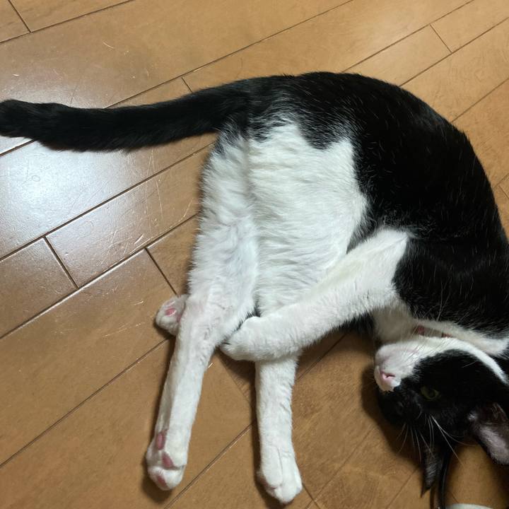 279933d9 e953 48fb b6cc 3effa0d5988a 1609943845534