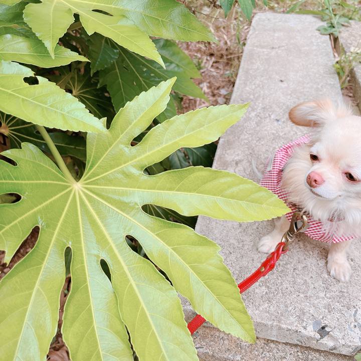 27993dfe 8c04 42d2 9914 57b1b7cc10f8 1653557166749