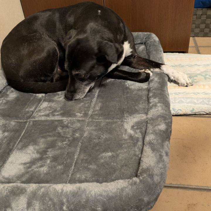 2799692b 69c7 4dca b354 3c8278422671 1766453587263