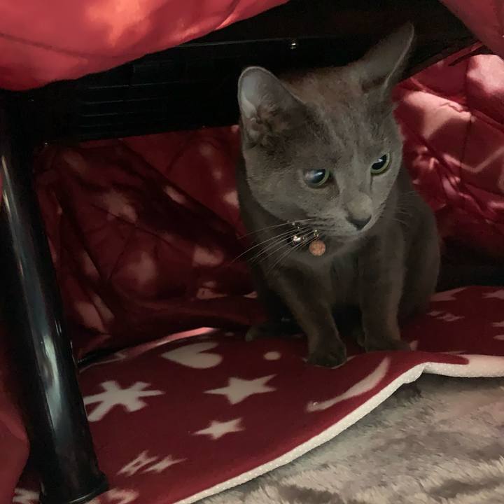 279978d4 2ba9 40ea bb16 43971fea5fd3 1603371678475