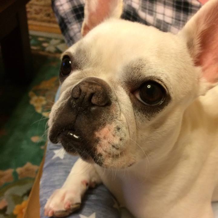 2799cbff 508b 427d b3cc d7aa67a05095 1532868315389