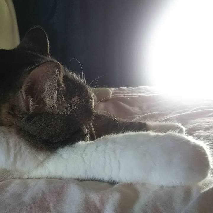 2799e52b 0eb4 44a4 84b3 34c23561fe15 1628298074867