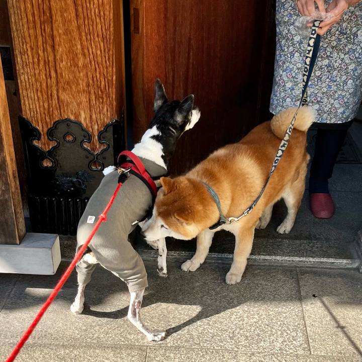 2799efa7 865a 465f a02c 2b1c51c553c6 1653693472113