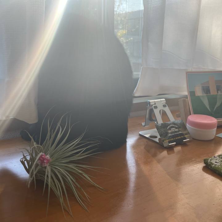 2799f589 a0b4 4ad6 8acb ff6583c1d266 1700613056033