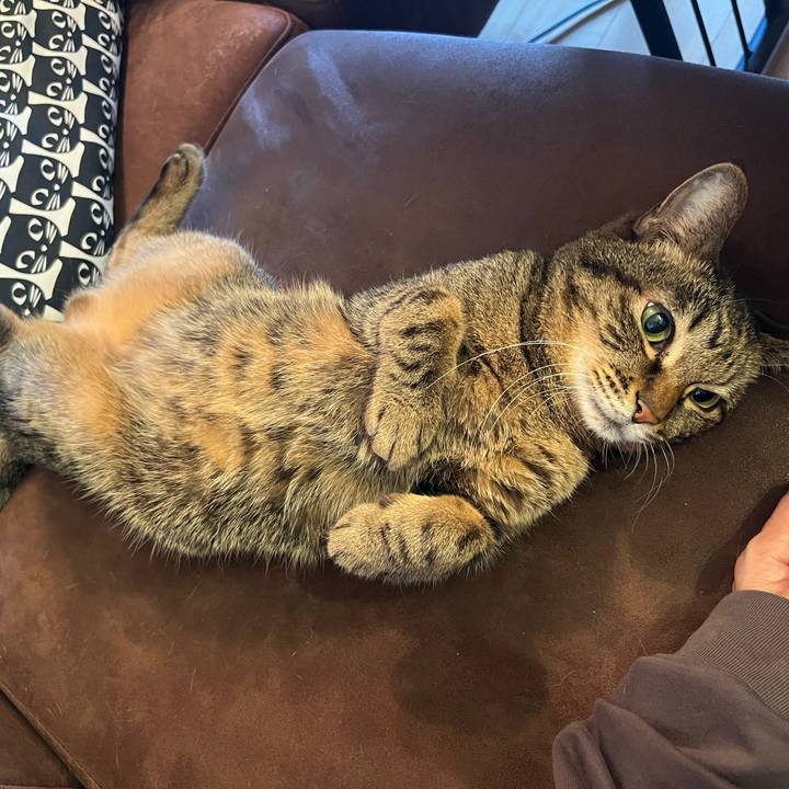 279a26eb 375e 428c 9d22 4226d98b2f7d 1767652345044