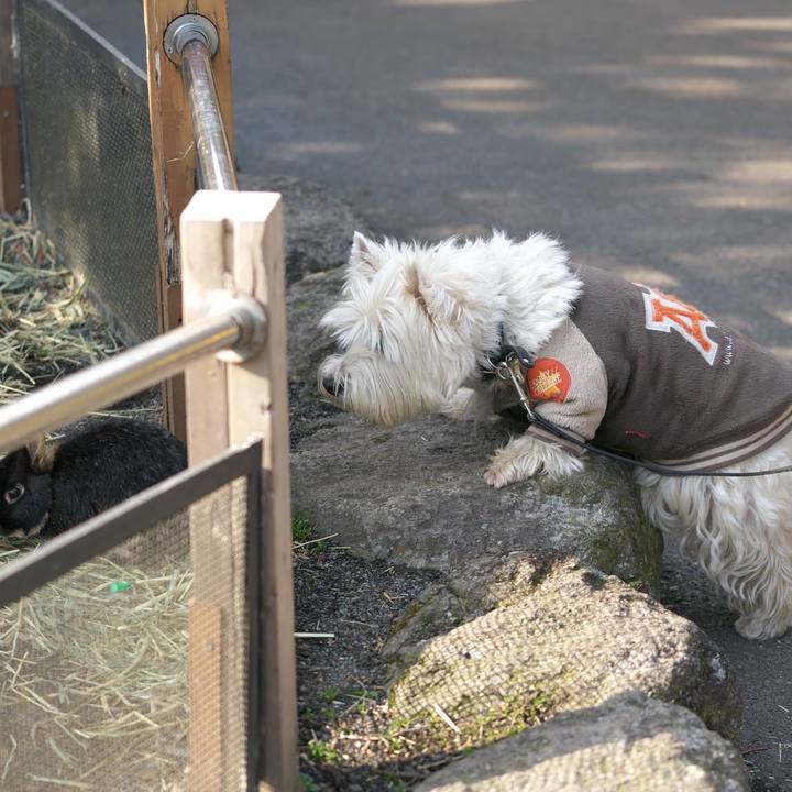 279a3364 b617 4c62 81ad b193a1f466c6 1517194436303