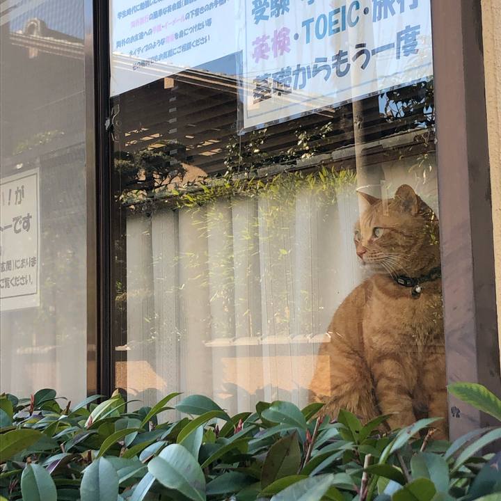 279a45ad cf4d 4eb5 aab0 ace34a2713e1 1583133548200