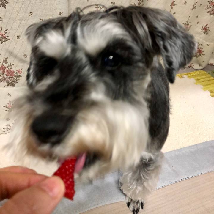 279a49de 6c88 436c 8b8a 8b99f867ec51 1652542167900